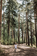 Happy cute toddler boy walking along path in summer park. Tiny kid in vast pine forest. Rear view...