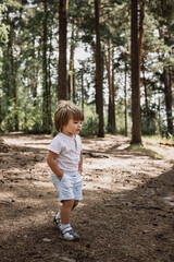 Happy cute toddler boy in t-shirt and shorts walking along path in summer park. Little kid outing on path in pine forest. Hyper-local travel concept. Active lifestyle. Child having fun in green woods.