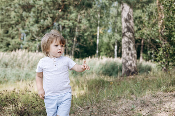 Happy cute toddler boy in t-shirt and shorts walking along path in summer park. Little kid outing on path in pine forest. Hyper-local travel concept. Active lifestyle. Child having fun in green woods.