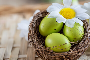 Close-up of Easter green eggs with spots and chamomile flowers in a small basket on a wicker surface. Greeting cards for Easter. Shallow depth of field. Top view. Festive background.