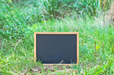 Close up of a chalkboard with copy space, on the ground in the woods.Nature concept.
