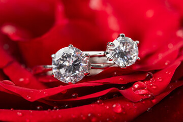 Closeup of the engagement diamond rings in the heart of a fresh red rose with dew