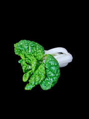 Closeup shot of a Bok choy Chinese cabbage with black background