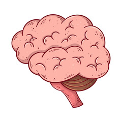 Human brain hand drawn cartoon simple vector illustration.