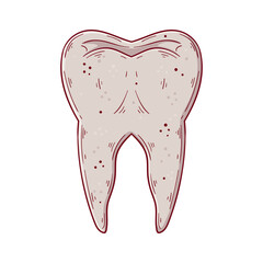 Human tooth hand drawn cartoon simple vector illustration.