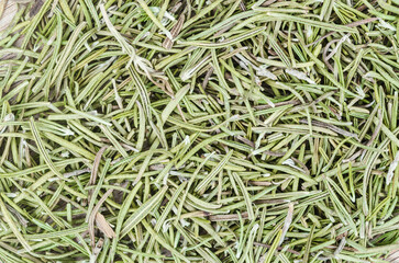Dried rosemary condiment background solid.