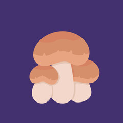 Porcini mushroom illustration. fungi and plants. flat cartoon style. vector design. elements, ui, landing page