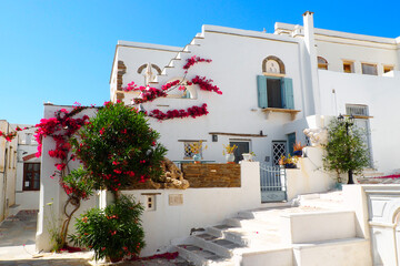 One of the charms of the Cyclades (here, in Pyrgos on the island of Tinos), in the heart of the Aegean Sea, are the small cobbled squares with white houses and topped with flowery balconies