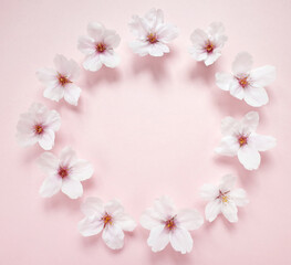 桜の花の輪
