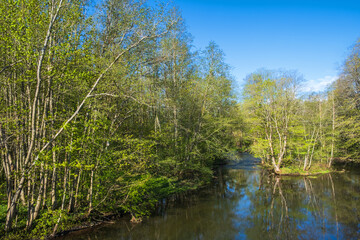 Fototapeta na wymiar River in a spring landscape