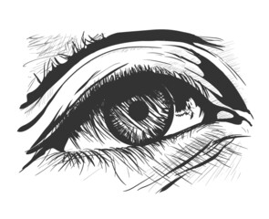 Hand-drawn high detailed human eye black and white vector illustration for posters, banners, brochures