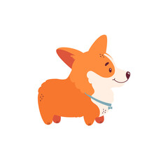 Welsh corgi puppy isolated on white background. Cute dog character. Side view. Vector illustration.
