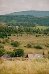 Beautiful green mountains in the Carpathians in autumn