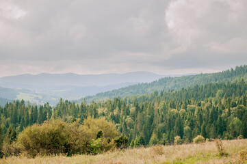 Beautiful green mountains in the Carpathians in autumn