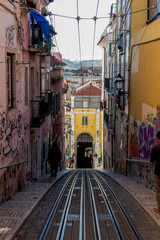 Fototapeta premium Descida