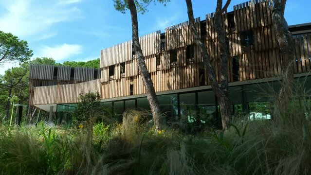 beautiful modern building with lots of natural elements of brown wood and glass and lots of green plants waving in the wind. With tall pine trees in the background and a blue sky with feathery clouds.