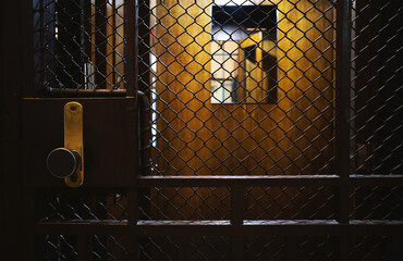 Metal mesh door of the old elevator