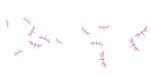 Tropical rosy pink dragonfly isolated vector wallpaper. Summer vivid damselflies. Simple dragonfly isolated dreamy background. Sensitive wings insects graphic design. Fragile creatures