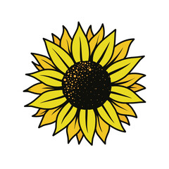 Fototapeta premium sunflower illustration