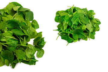 Fototapeta na wymiar Fresh spinach leaves as background.