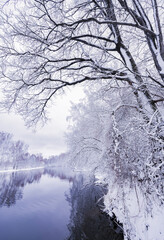 Fairytale winter river among snow-covered trees