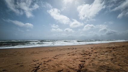 beach in the morning