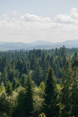 Beautiful landscapes of high mountains in warm autumn in the Carpathians