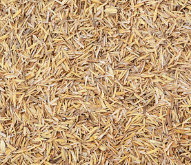 Rice husk texture,Thailand