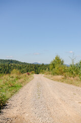 Fototapeta na wymiar Winding road in the Carpathian mountains