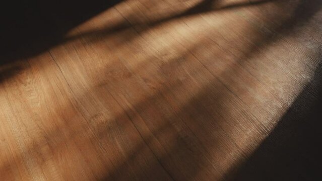 motion of shadow leaf with blowing wind overlay on brown wood floor background, summer concept, slow motion