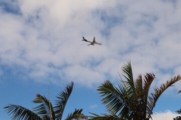 Samolot w locie na tle nieba i chmur nad palmami