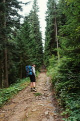Obraz premium Photo of a male tourist in casual clothes with a backpack on a hike, walking on a trail in the mountains through the woods