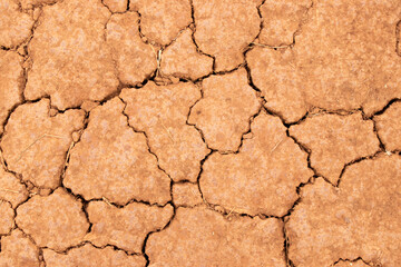 Cracked dry brown soil texture background, concept for global warming effect