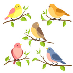 Set of stylized birds sitting on branches. Image of birdie in simple style.