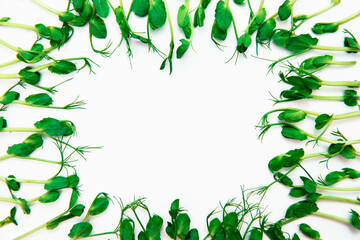 Fototapeta premium Microgreen isolated on a white background.