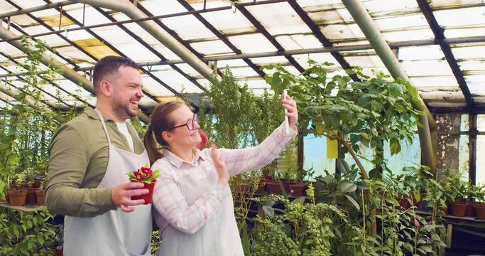 A young couple is telling their friends about their greenhouse during an online video call.