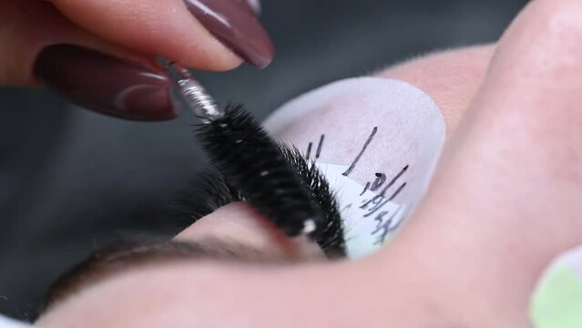 Eyelash extensions in a beauty salon. The cosmetologist combs the finished eyelashes with a special brush.