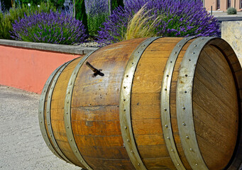 drewniana beczka po winie w ogrodzie, wooden wine barrel in the garden