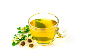 Moringa Tea in transparent glass cup with fresh green leaf and flower isolated on white background. Moringa oleifera tropical herb healthy lifestyle concept.