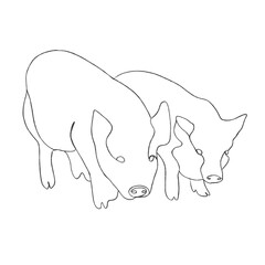silhouette of two pigs 