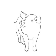 cartoon pig