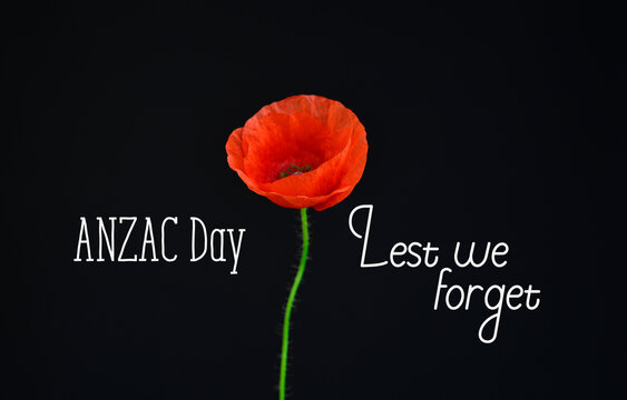 Anzac Day - Australian And New Zealand National Public Holiday, Poppy Flowers Memorial Background