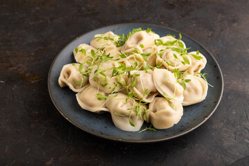 Dumplings with pepper, herbs, microgreen on black concrete. Side view, close up.