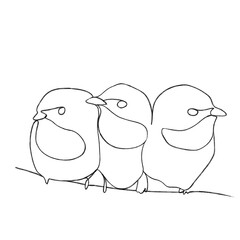 two birds sitting on a branch