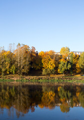 Obraz premium Reflection of trees in the river in autumn
