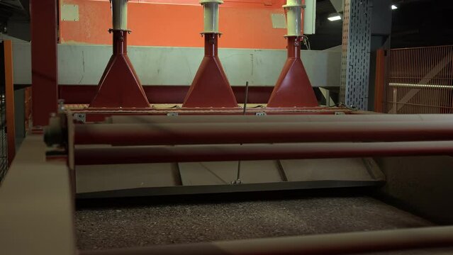 Chipboards are moving on the conveyor at the wood processing factory