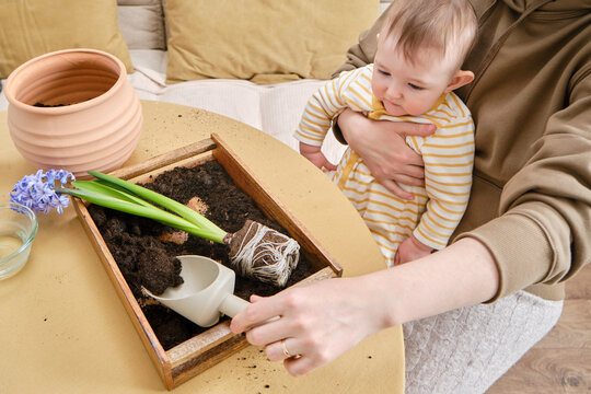 Mother and child work with plants in the home garden. Mom teaches baby boy how to care for flowers