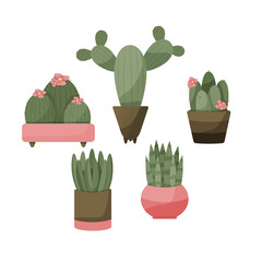 Various Cute Cacti in Pots, Cactus Collection, Vector House Plants