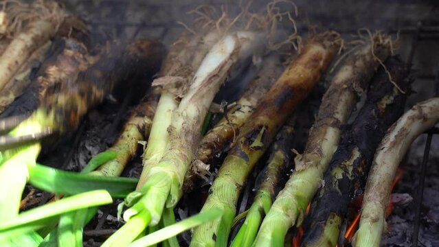Closeup of a pile of calcots or sweet onions being cooked in the barbecue. Typical of Catalonia, Spain