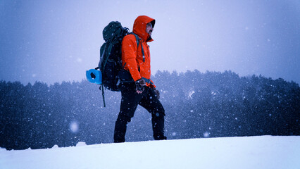 Hiker man with backpack walking in forest in winter under heavy snowfall